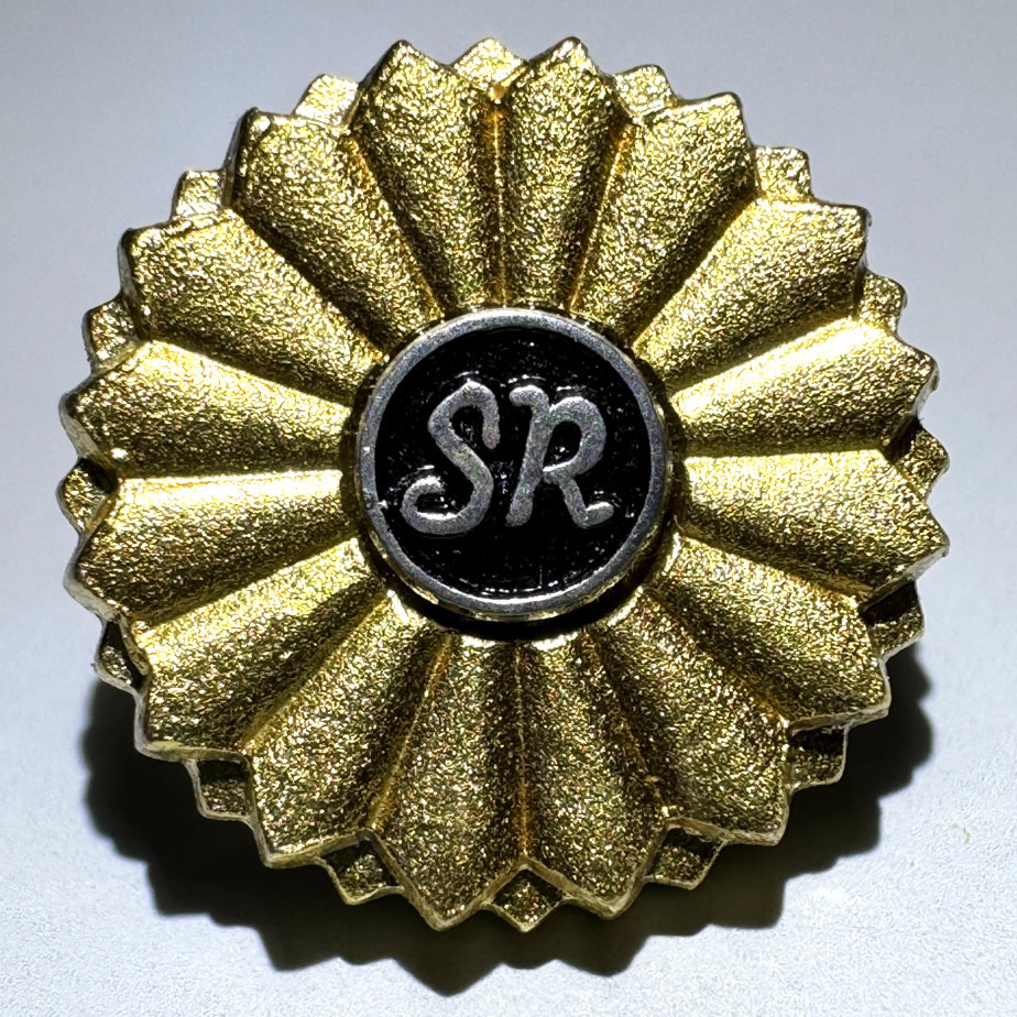 社労士バッチ写真